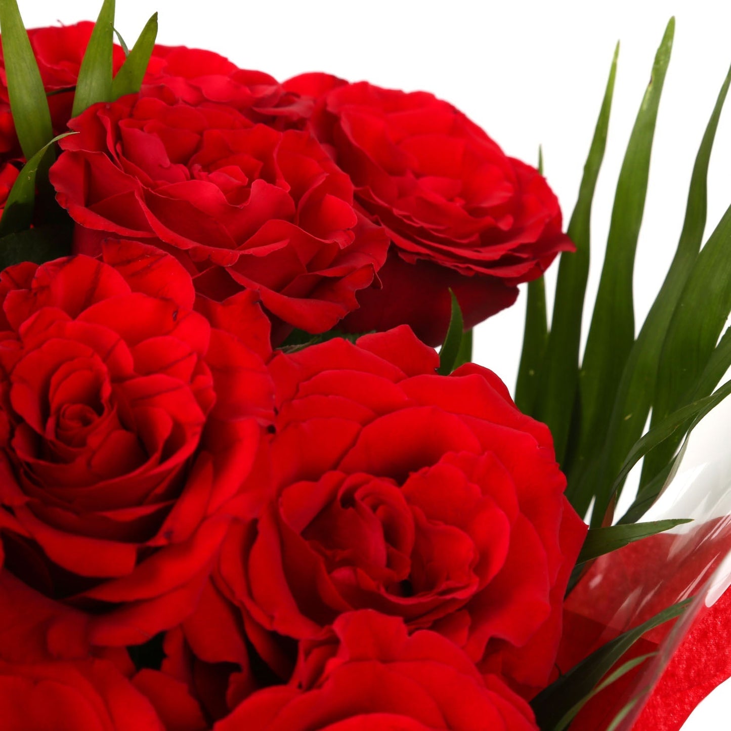 20 Red Roses Bouquet