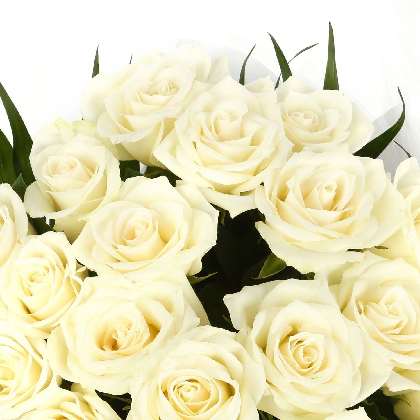 20 White Roses Bouquet