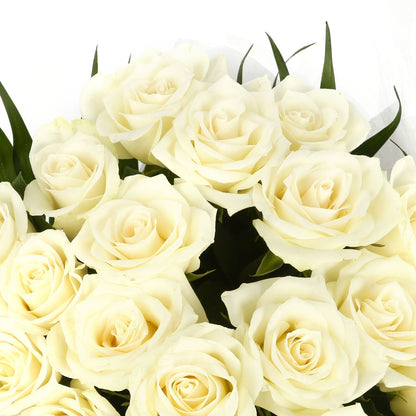 20 White Roses Bouquet