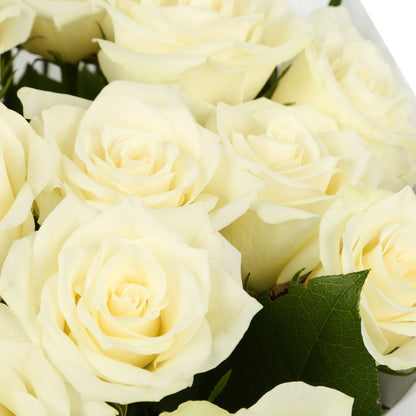 20 White Roses Bouquet