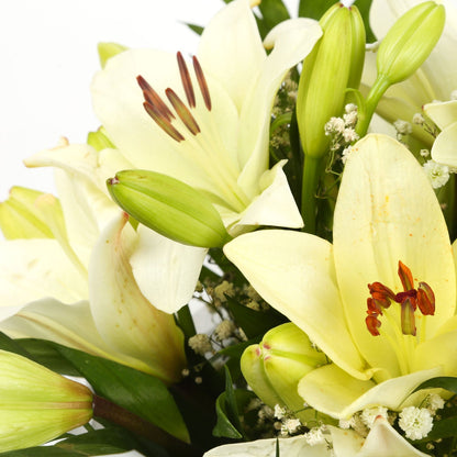 A Classic White Lilies Bouquet