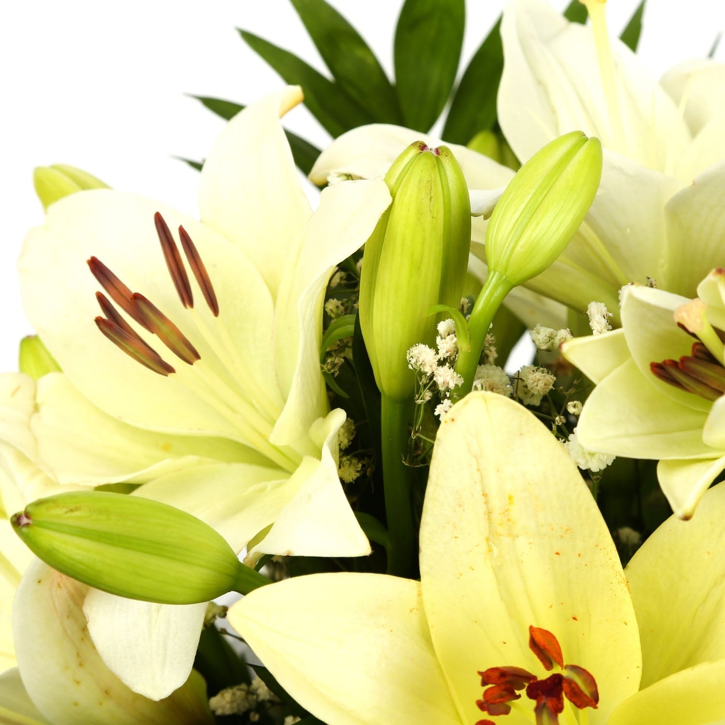 A Classic White Lilies Bouquet